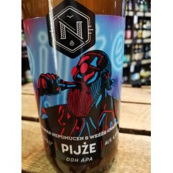 Nepomucen Pijże